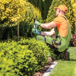 Landscaping
