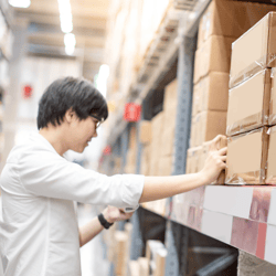 Supply Chain Assistant